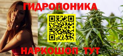 соль ск Ртищево