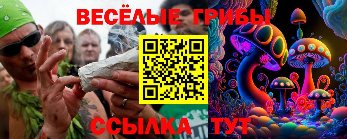 Галлюциногенные грибы Psilocybine cubensis Корсаков