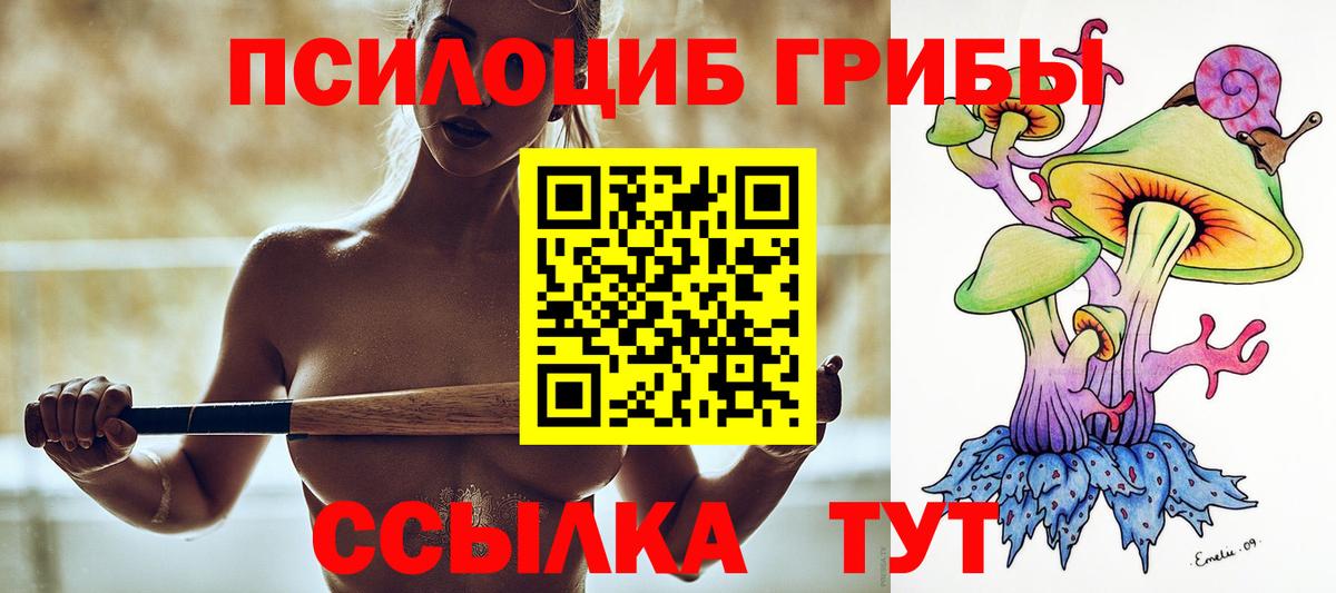 Корсаков  Галлюциногенные грибы Psilocybine cubensis  Вход с VPN 